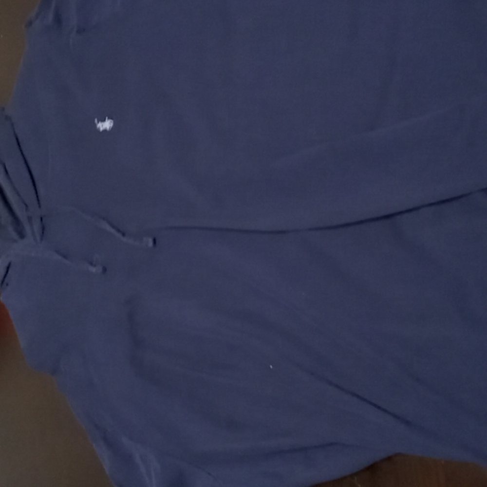 Blue light weight polo hoodie